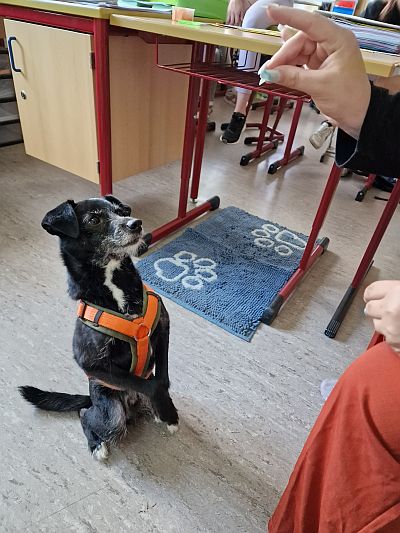 Carlo im Klassenzimmer