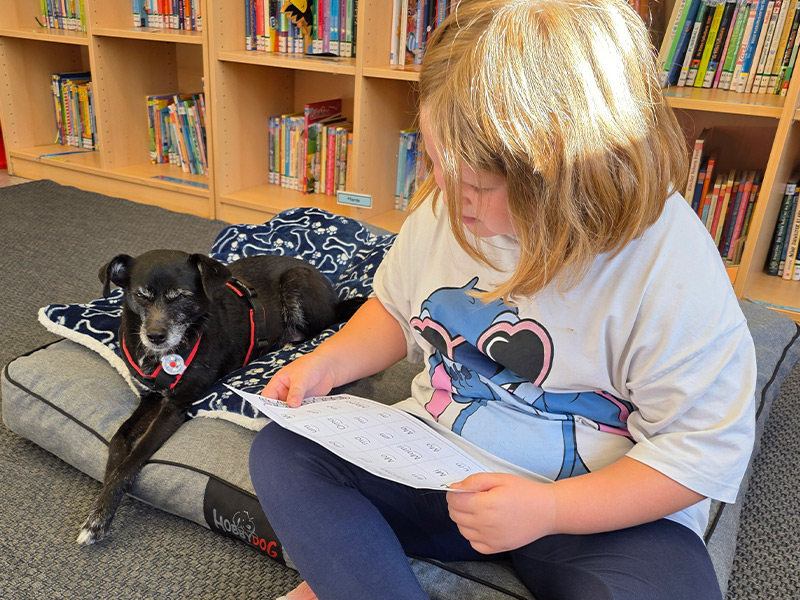 Leseförderung mit Carlo